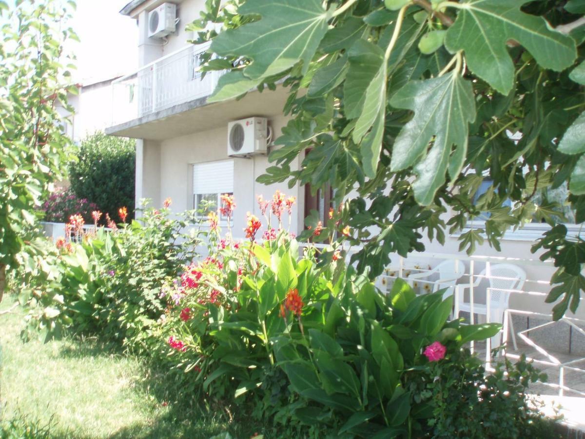 Apartment Antonija Senj  Zewnętrze zdjęcie